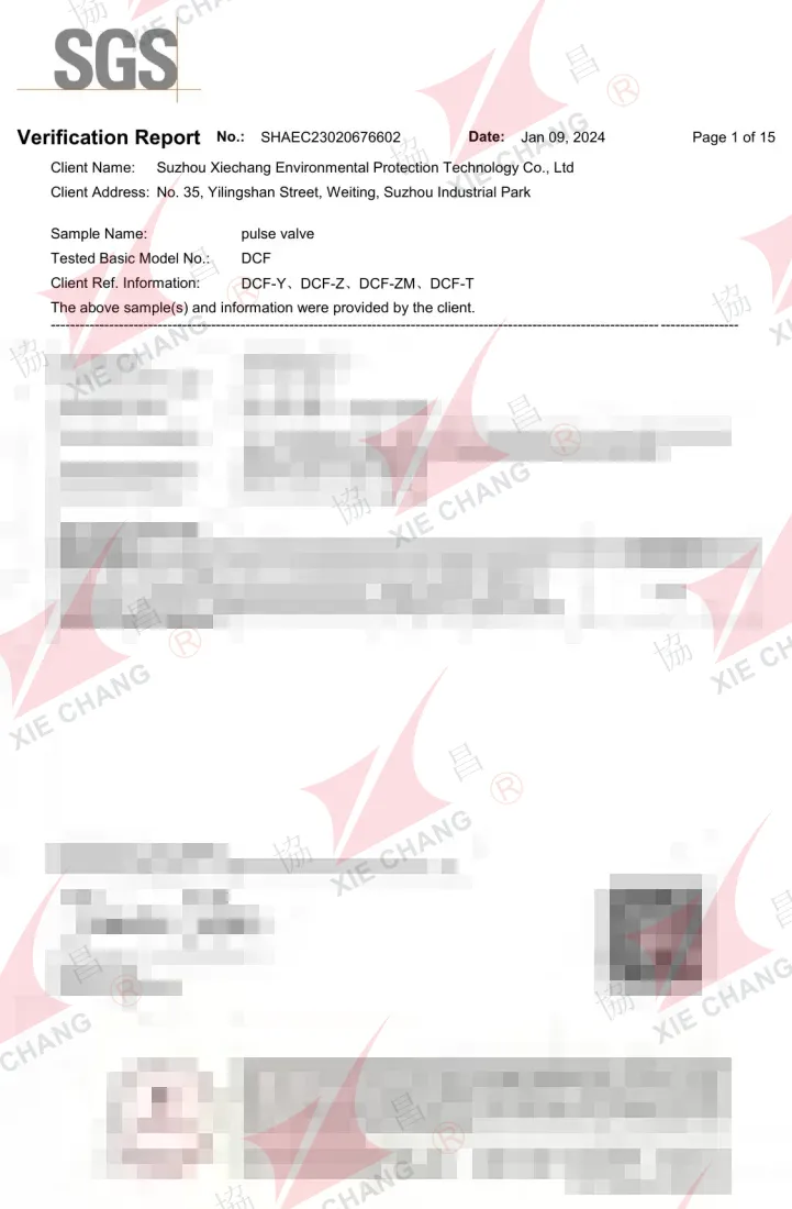 Laporan Verifikasi China RoHS — katup pulse solenoid DCF