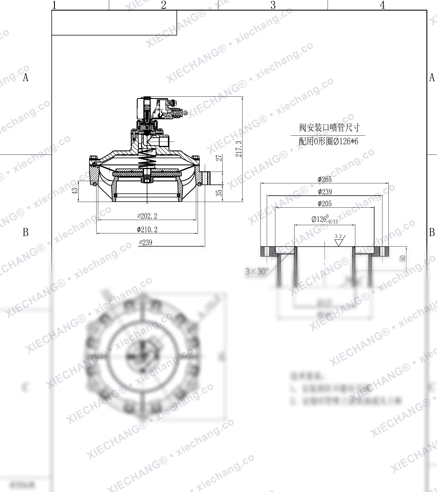 DCF-F-Y-115S · 4.5" · katup pulse explosion-proof tipe benam (immersed) — Gambar pemasangan