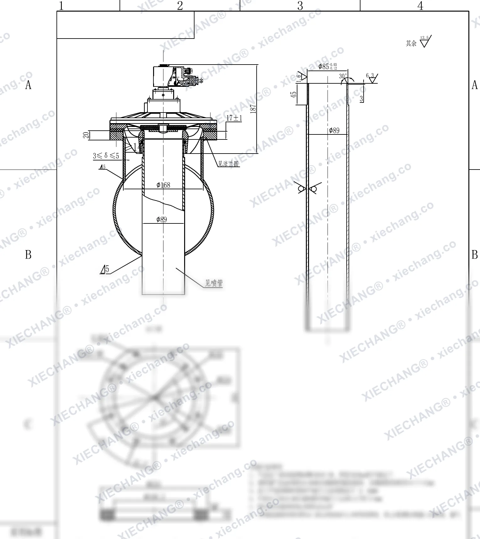DMY-F-II-80 · DN80 (3") · katup pulse tipe benam (immersed) explosion-proof (dengan pipa semprot / flensa bulkhead) — Gambar pemasangan