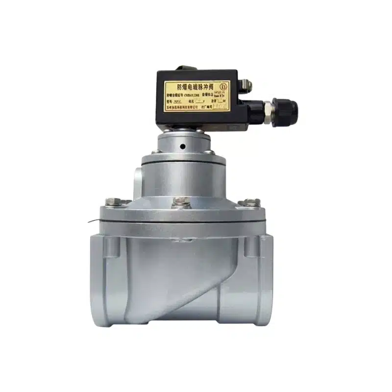Katup pulse explosion-proof tipe lurus DCF-F-T